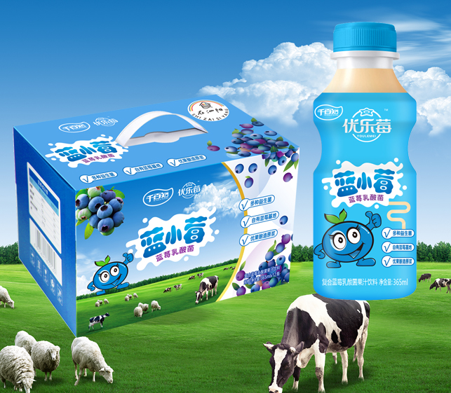 蓝小莓蓝莓乳酸菌果汁饮品