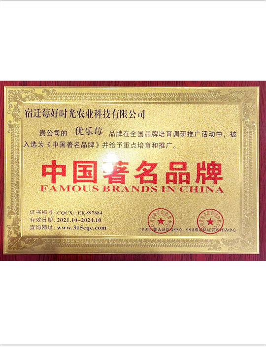 中国著名品牌