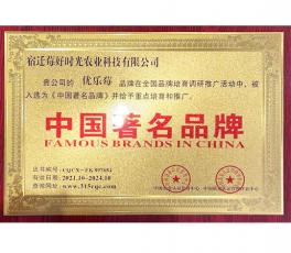 中国著名品牌