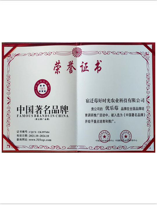 荣誉证书