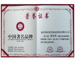 荣誉证书